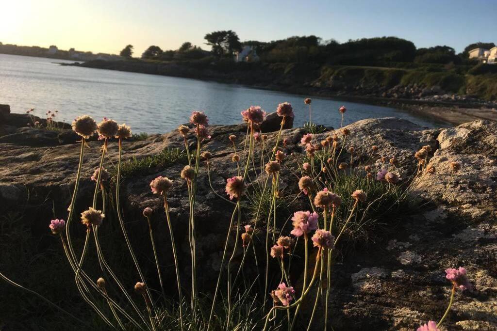 L'olivier Du Cabellou, à 900 M Des Plages Casa de Férias Concarneau